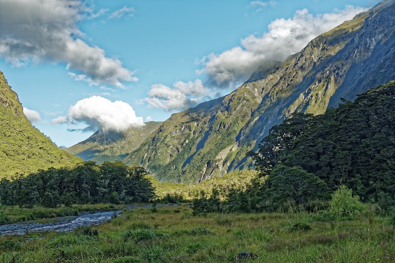 Ekologiczne góry Sowie: przykład ochrony przyrody i proekologicznych inicjatyw w górach Sowich
